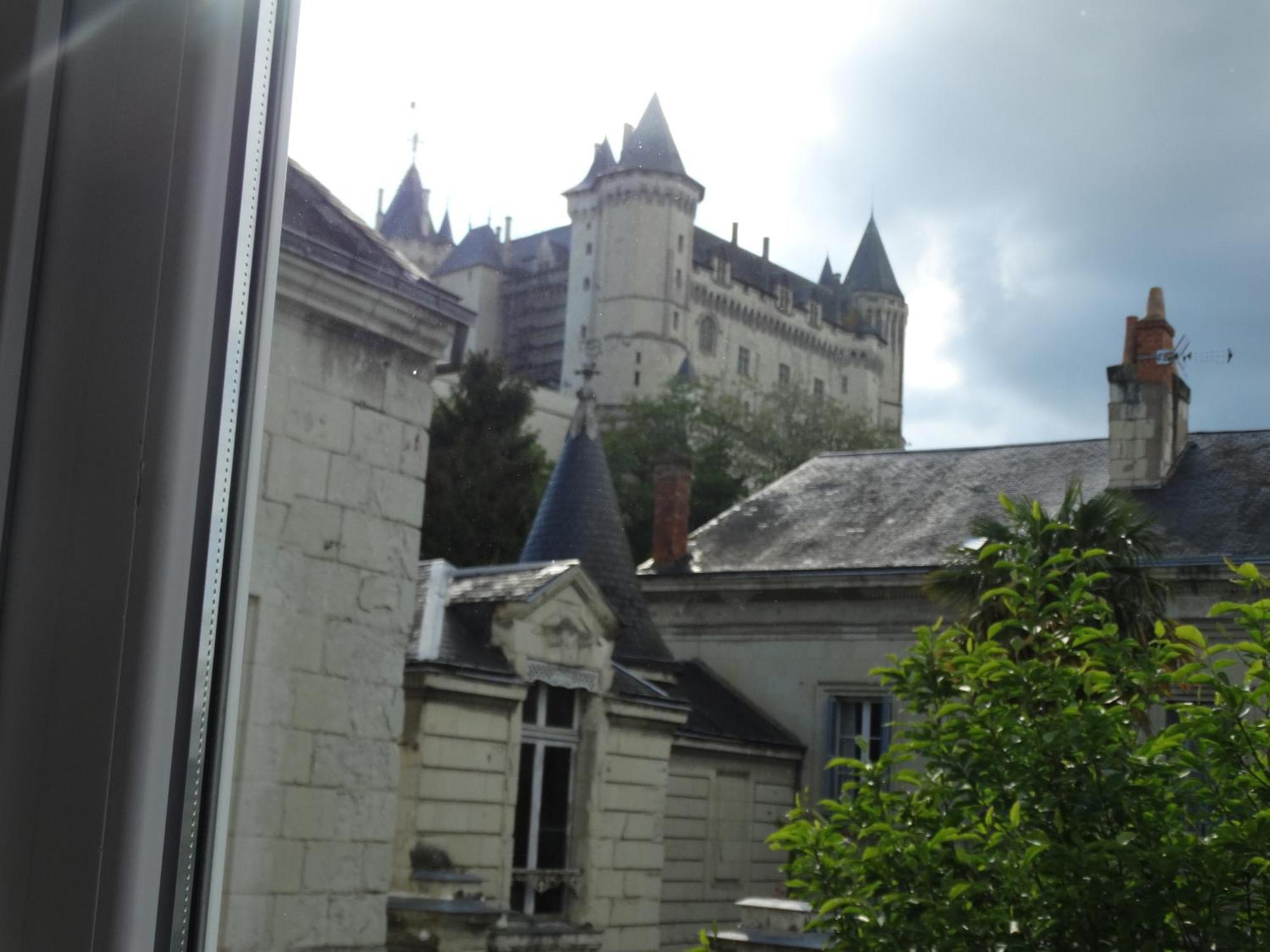 Vue Sur Chateau Et Loire Saumur Exterior photo